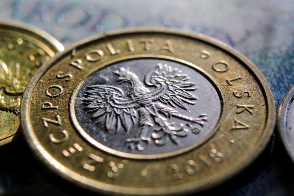 polská mince