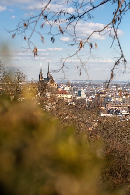 pohled na Brno